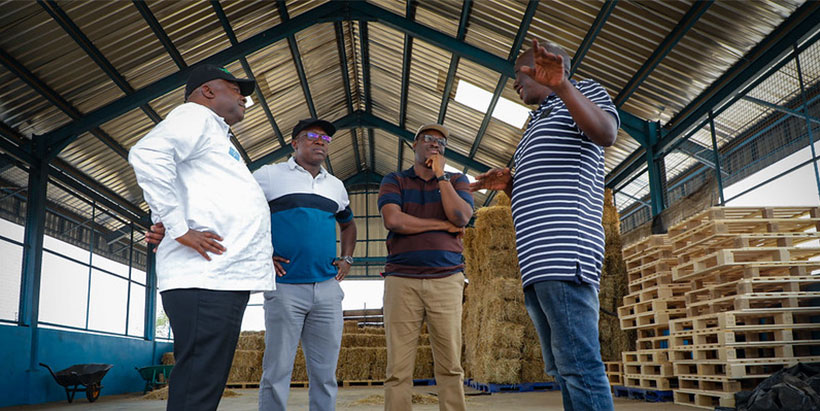 Dr. Nteranya Sanginga with Drs Debo Akande and Tunde Amole in the hay stacking shed at the Fashola Agribusiness Park in Oyo.