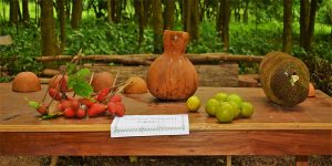 Humans rely on the resources of nature for many solutions to health ad nutrition problems.