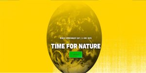 The IITA Forest Center maintains a rigorous system of nature conservation in its parks and forest.