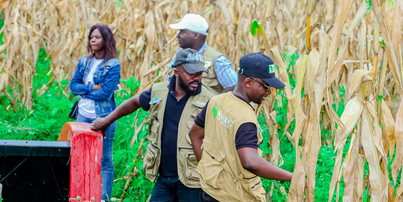 Participants in the field during the launch of the harvest season campaign.