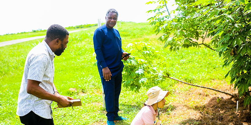 SAA team at one of IITA's cassava field trials