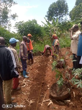 Learning by doing: Farmers in Rango Commune, Tara village, Burundi, learning good agronomic practices from their neighboring fellow farmer.