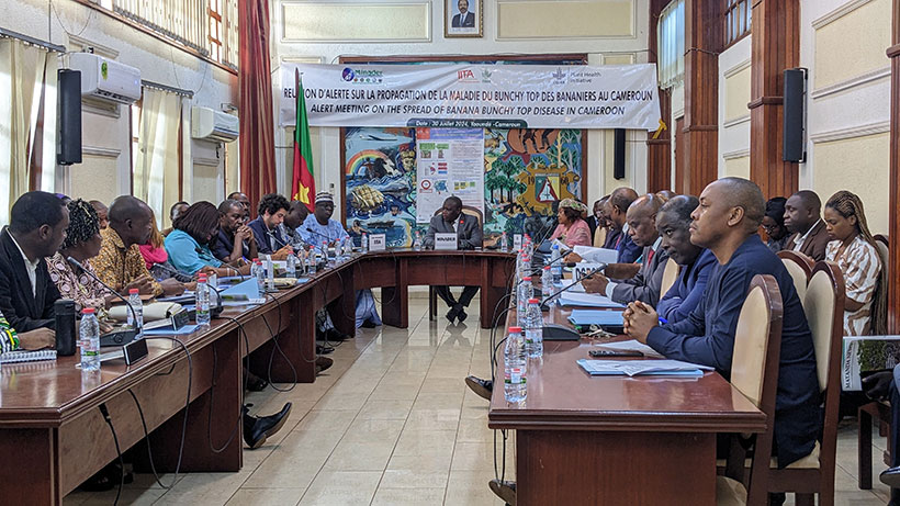 Participants in the conference room of MINADER
