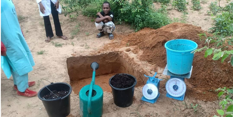 Preparation for the composting of BSF frass.