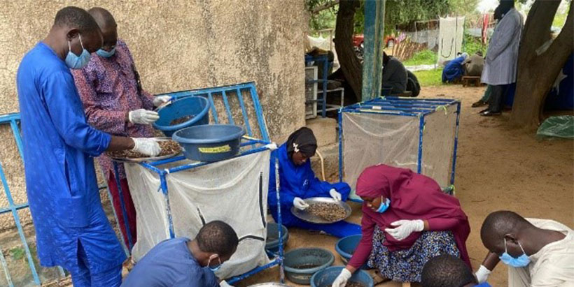Participants engaging in practical activities.