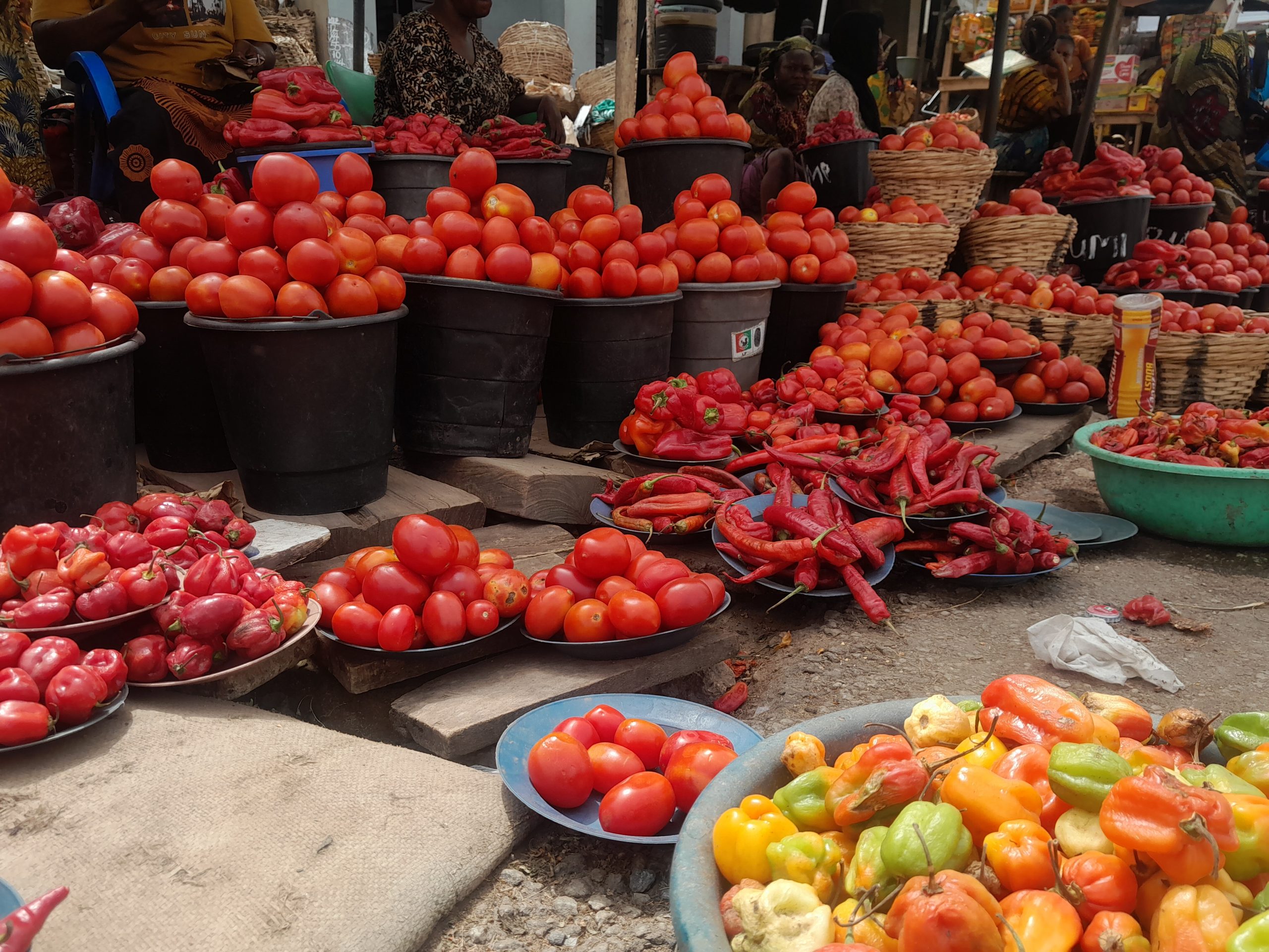 Informal markets in Nigeria. (Photo by Lydia Ibrahim/IITA Pathology Laboratory)