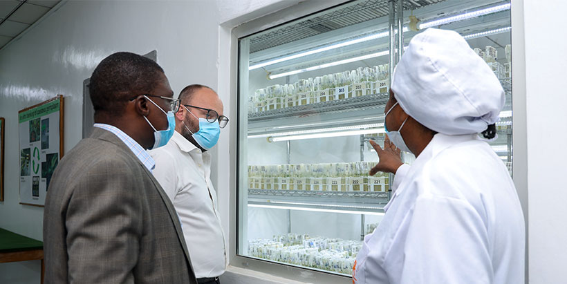 Dr. Adebowale Akande taking Philippe Rapold on a tour of IITA Genetic Resources Center.