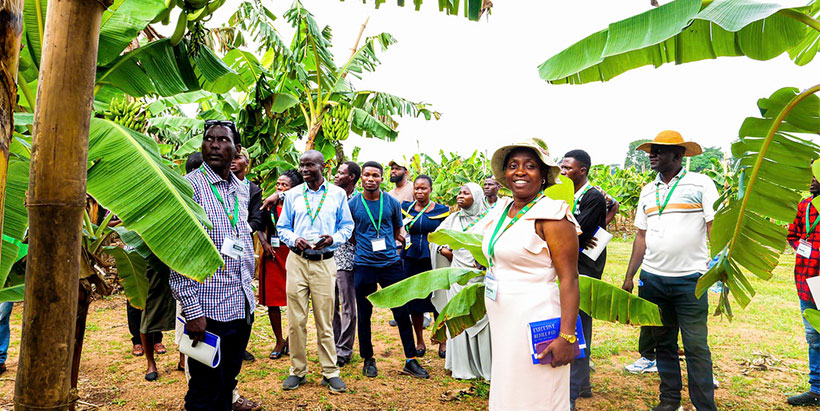IITA Plantain Breeder, Moses Nyine training the NIHORT staff on different aspects of plantain improvement in the field.