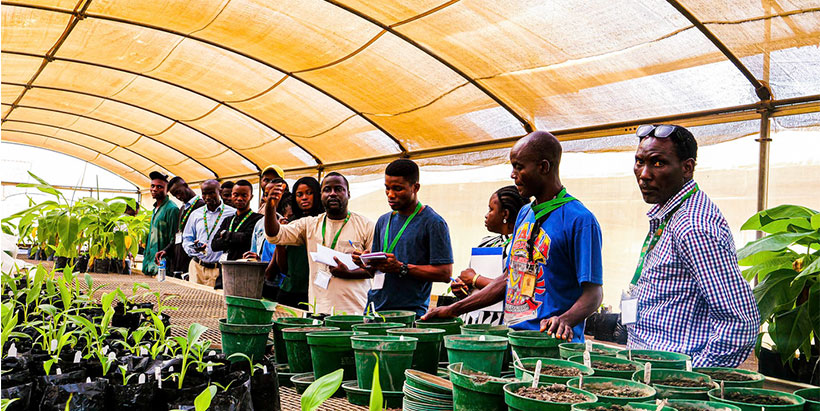 IITA staff, Temitope Ademulegun training the NIHORT staff in one of the plantain/banana breeding screenhouses.