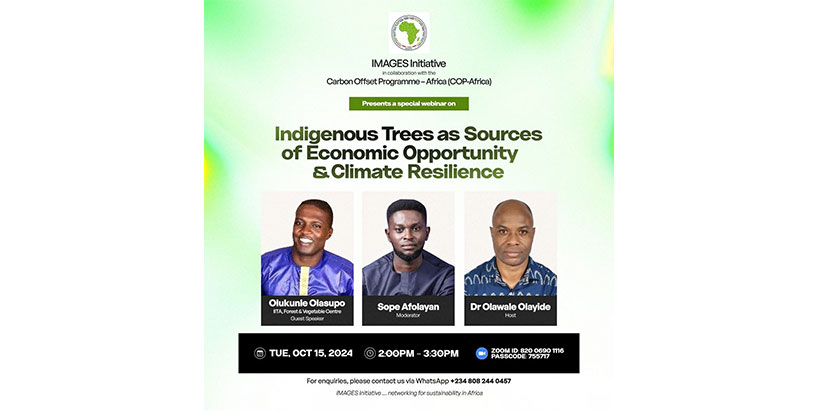 Webinar flier showing Guest Speaker, Olukunle Olasupo; Moderator, Sope Afolayan; and Host, Dr Olawale Olayide.
