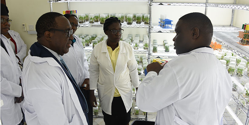 Dr Simeon Ehui exploring the Tissue Culture Lab with Dr Batte Michael providing expert insights into the research work.