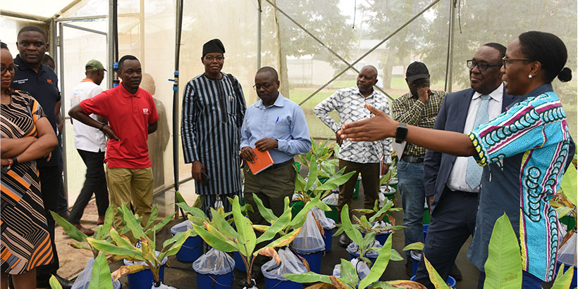 Dr Simeon Ehui visits the IITA-Uganda pathology section of IITA Uganda, highlighting innovative research in plant pathology.
