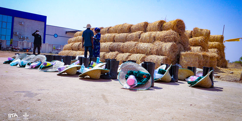 Bales of high-quality grasses, along with farm boots, hats, and overalls provided to the participants.