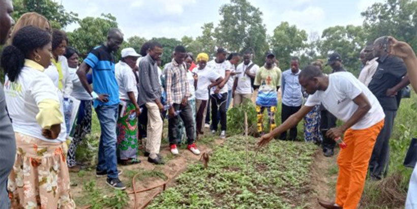 Visit of the agripreneurs to the vegetable field fertilized with the BSF frass.
