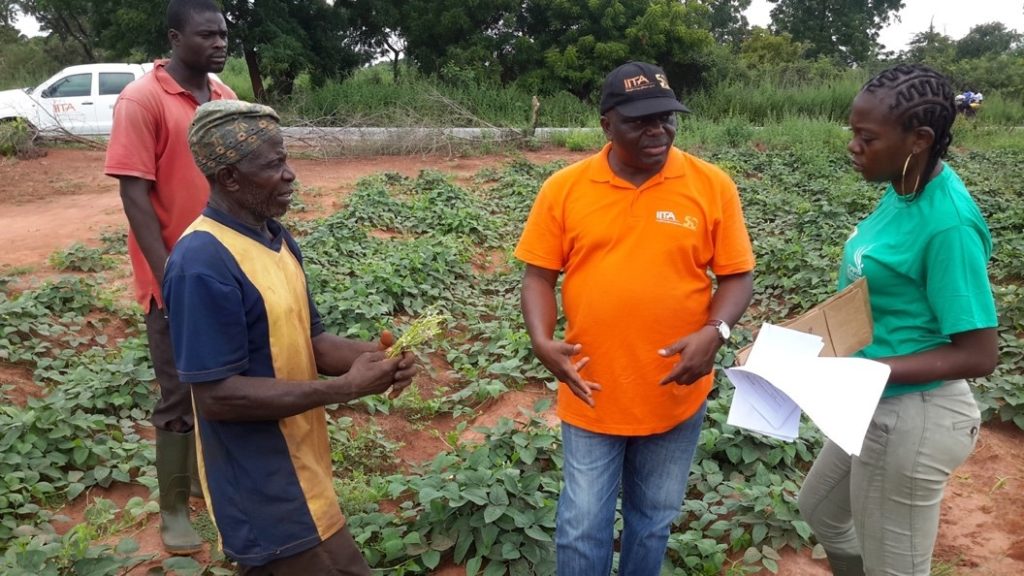 Dr Adenike Dada with farmers and Dr Olaniyi Oyatomi on the field.