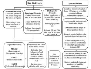 Flow diagram summarizing the study methodology.