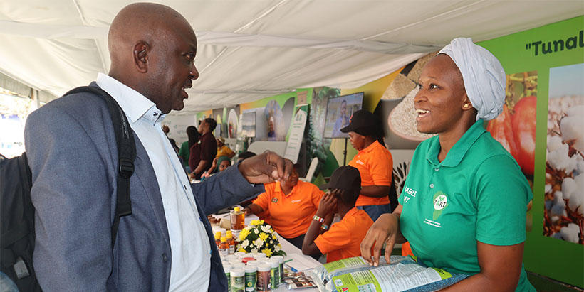 IITA researcher, Fatma Mussa showcasing Aflasafe product to visitor. (Photo: Hadi-IITA)