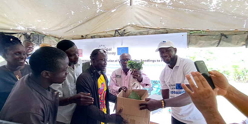 Coffee seedlings being handed over to some of the farmers.