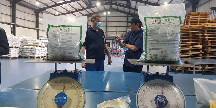 Dr Khalid Aziz from Rafhan Maize Co. Ltd., Pakistan, and Dr Alejandro Ortega-Beltran of IITA discuss during a visit to HIL facility how Aflasafe biocontrol manufacturing processes allow maintaining the long-term stability of Aflasafe—critical for ensuring product effectiveness in diverse storage and distribution conditions.