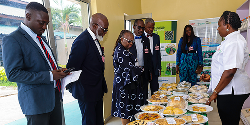 The Lagos Business School delegation during a tour of the IITA Cassava Processing Unit.