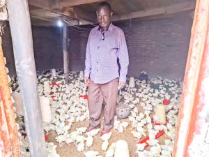 Photo: Maurice Murishi with the three to five days old chicks.