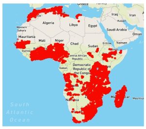 Map of Africa showing the actual soil sampling points.