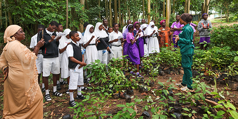 The campers learning about forest trees, their benefits for conservation and more.