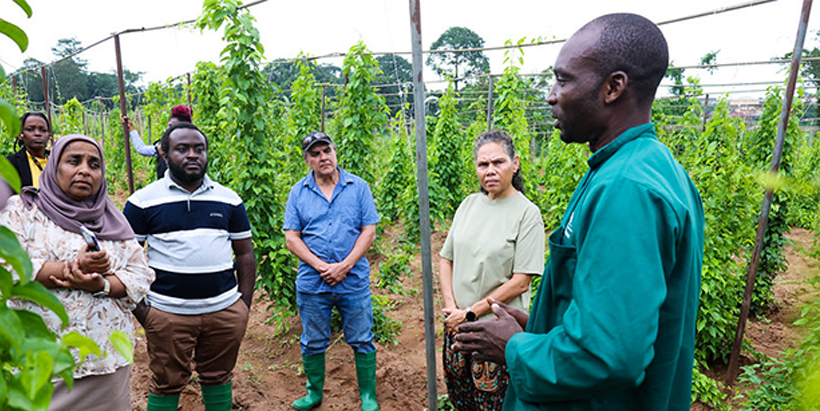 The Australian delegates in IITA Yam field learning yam pollination techniques.