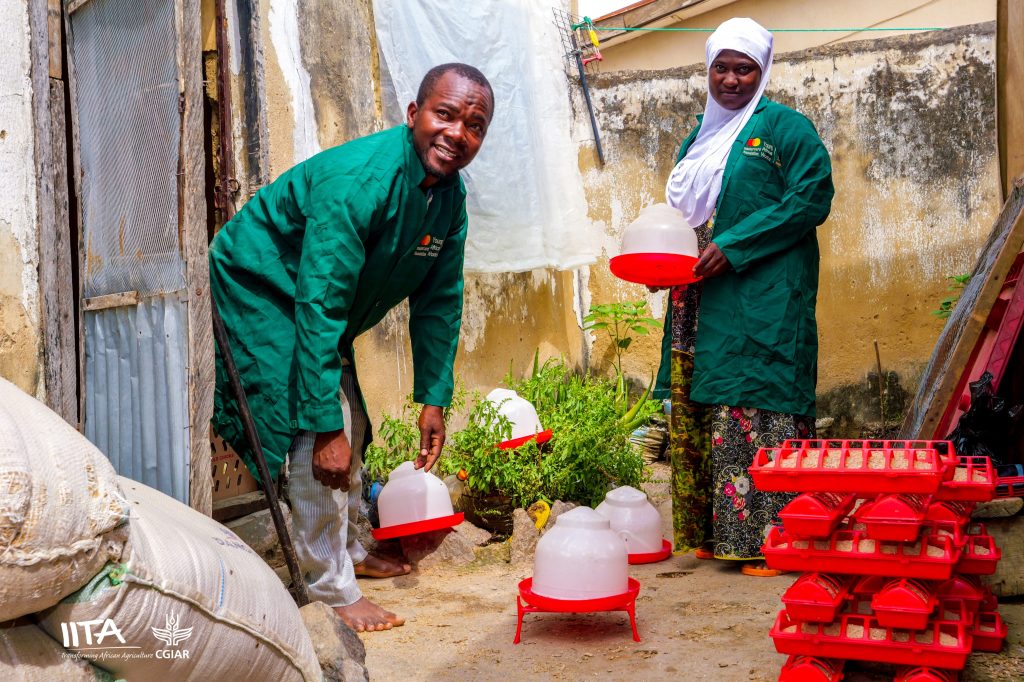 Mariam and her husband, Nasir, preparing feed for their chickens.