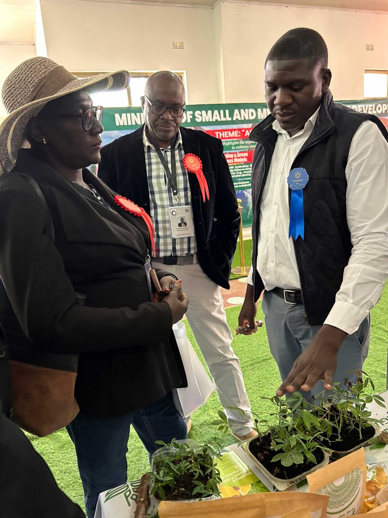 Sibeso Consent showing visitors some of the existing technologies in cassava seed systems.