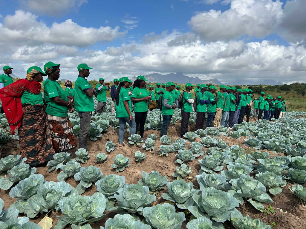 Smallholder farmers during one of the field days.