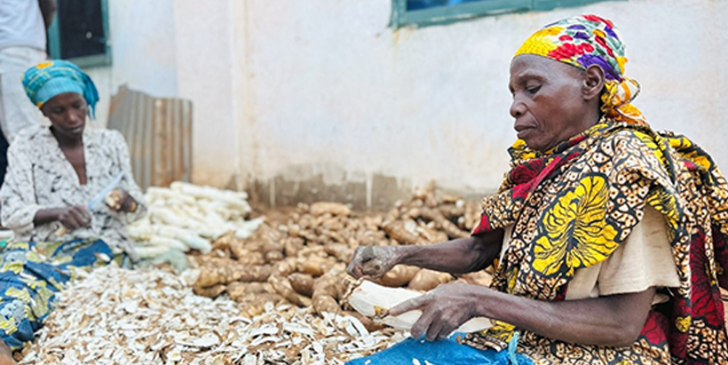 Women peeling the cassava roots in Kamonyi District, Nyamiyaga Sector