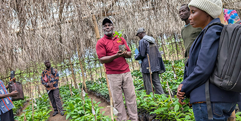  Dr Richard Asare during a practical session on best practices for growing cocoa.