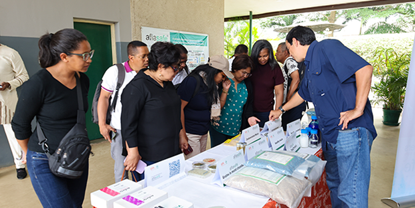 Alejandro Ortega-Beltran, IITA Senior Plant Pathologist and Head of Pathology and Mycotoxin/Aflasafe Unit taking the delegates through IITA’s Aflasafe biocontrol solution to aflatoxin, a common food safety threat across sub-Saharan Africa.