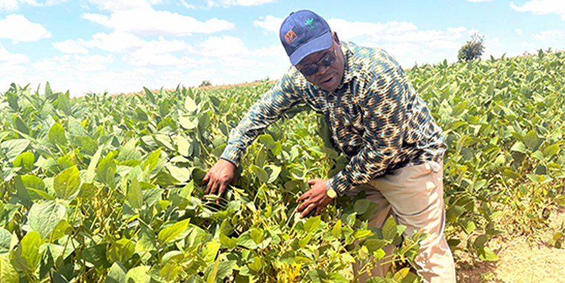 Professor Omoigui in Soybean field during the field walk