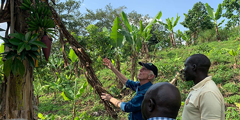 Rony Swennen explaining to a farmers how to recognize and reduce damage caused by the black Sigatoka disease on banana leaves in South Eastern Equatorial (South Sudan).