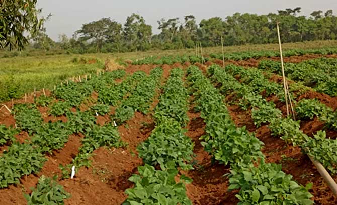 Photo credit: Olakunle Sansa