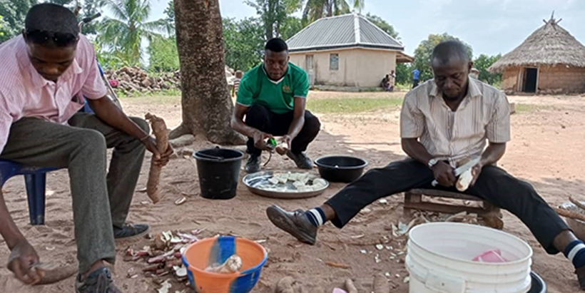 Cassava peeling process during field study