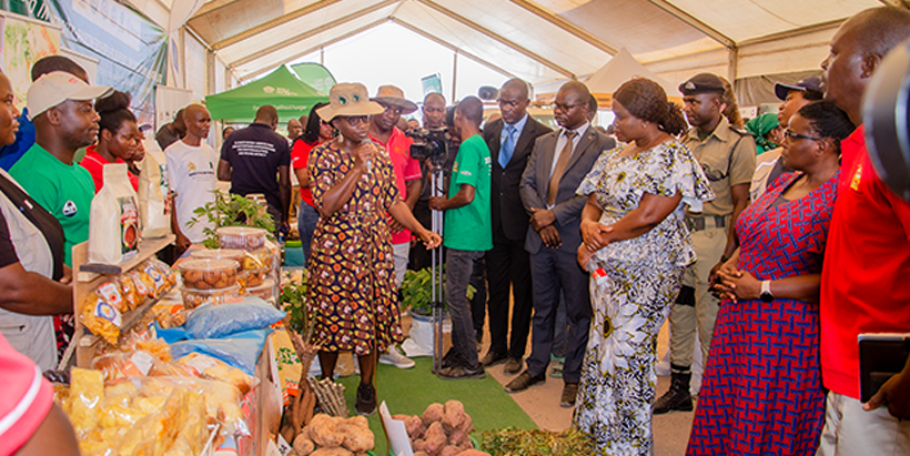 Dr Gbegbelegbe briefing the Minister of Agriculture, Irrigation, and Water Development, Honorable Rosa Fatch Mbilizi and participants about IITA's research innovations.