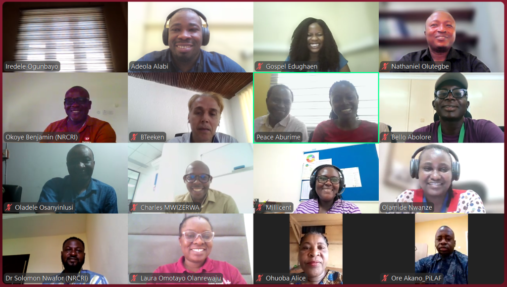 A virtual cross-section of participants and the presenters during the training.