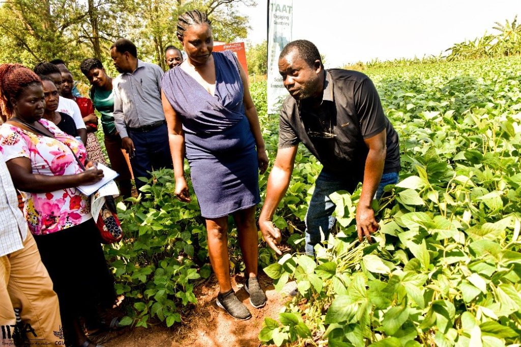 Dr Omikunle conducting a hands-on training during the field day.