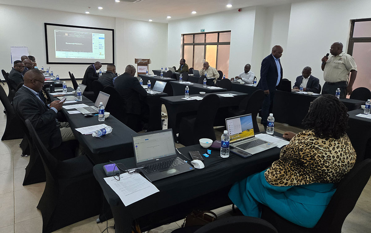 Participants engaged in practical field sessions on cassava and sweet potato seed multiplication at the CIAT–BECAF campus.