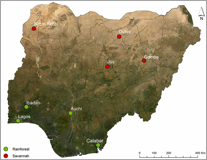 Study highlights critical impact of urbanization on avian communities ...